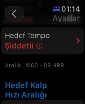 Hedef tempo